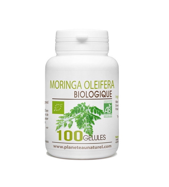 moringa-oleifera-bio-.jpg