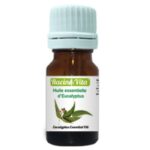 racine-vita-huile-essentielle-d-eucalyptus-10-ml.jpg